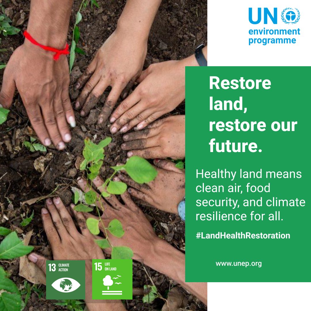 UN Environment Day Practice Design